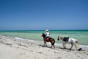 2024 Tunisia