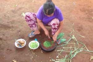 2017 Cambogia